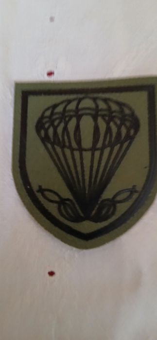 Emblema Paraquedistas da  Força Aérea