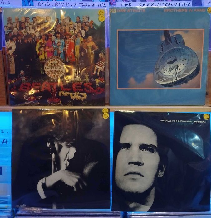 Vinil - B.Dylan Pavlovs Dog Sinead O`Conor T Heads Doors Elvis T.Maia