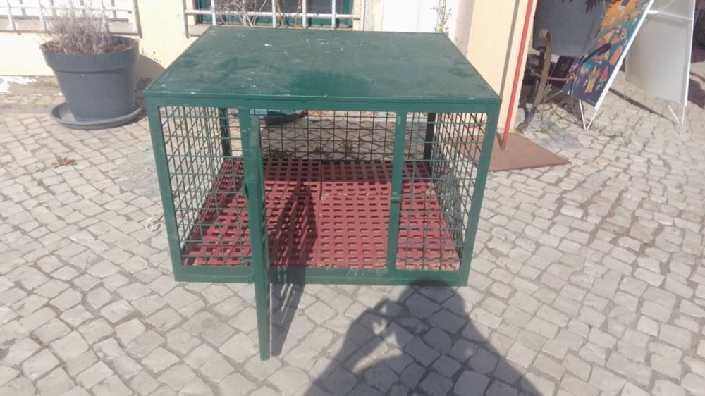 Caixa de cães li