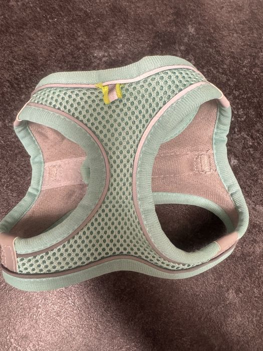 Шлейка для маленької собаки