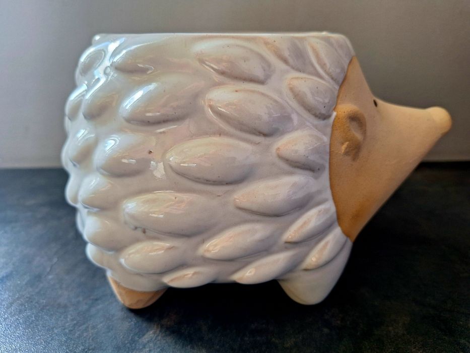 Ceramiczna osłonka JEŻ JEŻYK Nowa