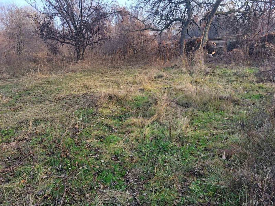 Продам садову ділянку