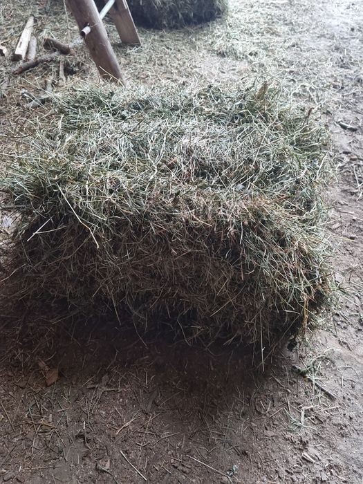 Siano i słoma w kostkach