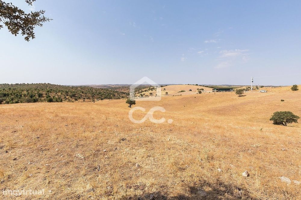 Terreno Rústico de 2,725 ha c/ Pequena Nascente para Exploração Agríco — Reguengos de Monsaraz, Évora