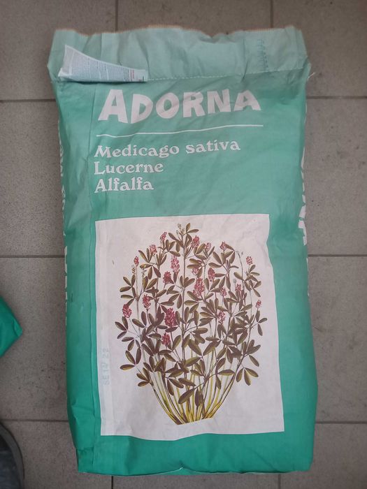 Lucerna otoczkowana Adorna worek 25kg, lucerna Adorna, nasiona lucerny