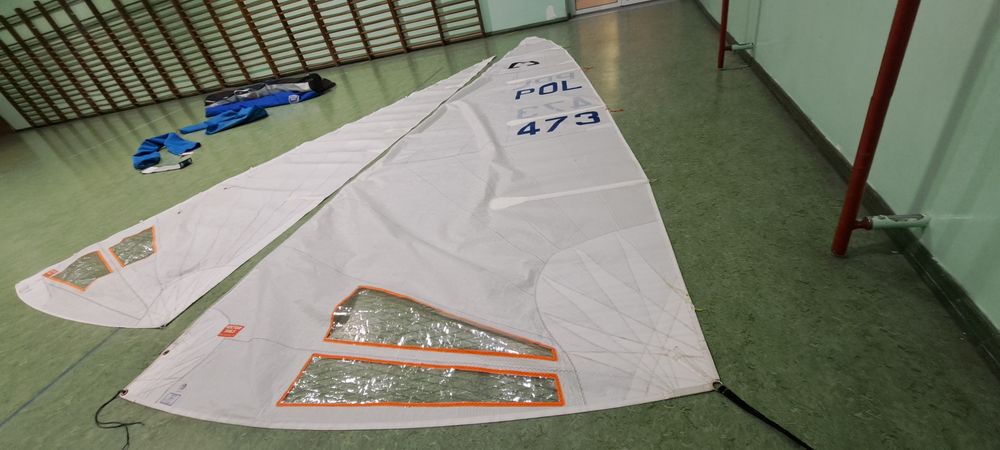 Zagle regatowa do Omegii - Vector Sails 2022 r