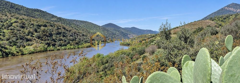 Quinta de 15 Hectares com 800 metros de Frente ao Rio no Douro