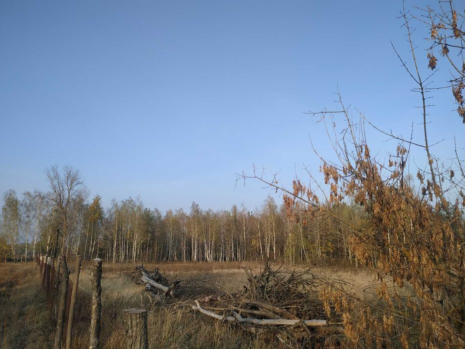 Продам ділянку 20 соток під забудову біля лісу с. Жукин