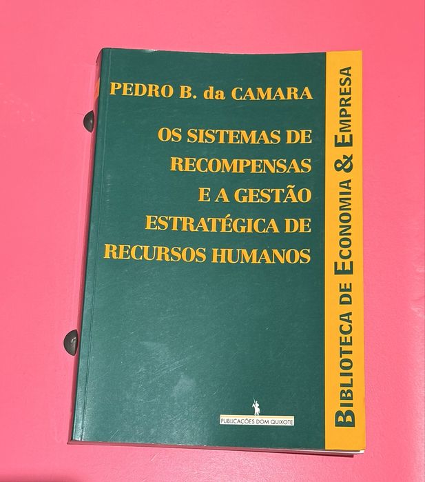Os Sistemas de recompensas e a gestao estrategica de Recursos Humanos