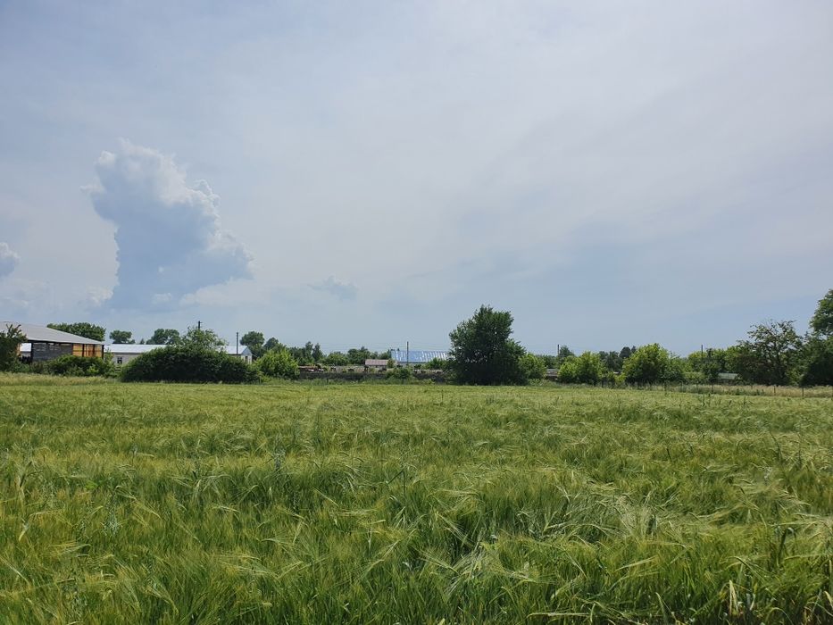 Продам ділянку Літки забудова