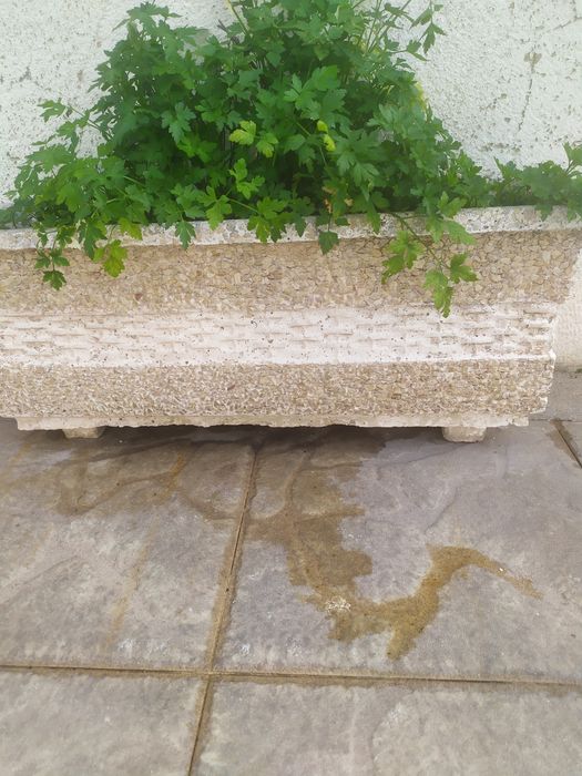 Vasos para plantas