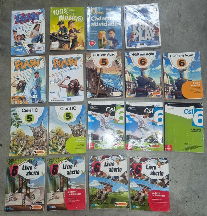 Manuais e caderno atividades 5 e 6 anos