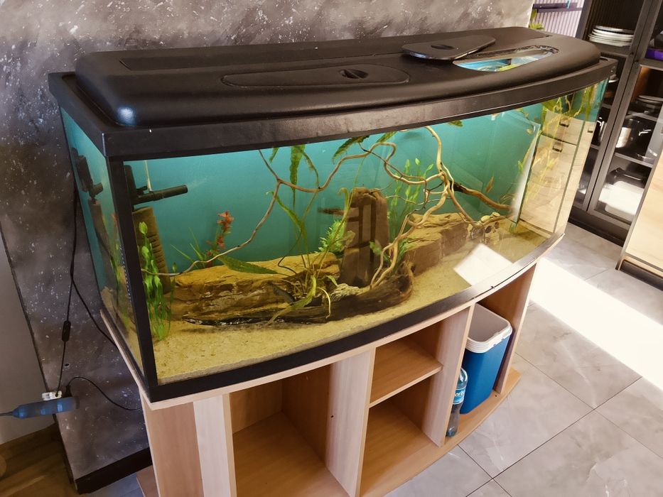 Akwarium 450L z rybami.