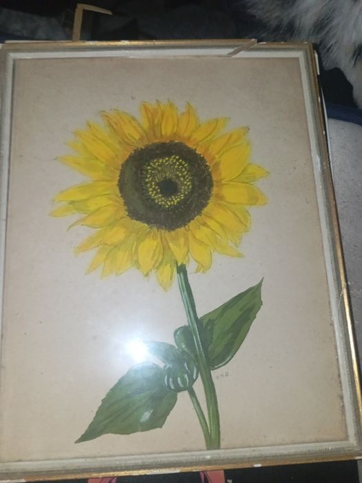 Desenho se tiver assinado tá na foto