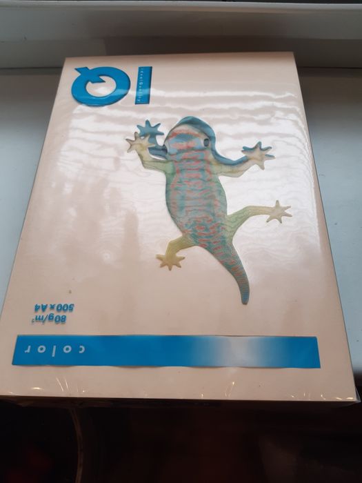 Папір офісний А4 NEUSIEDLER кольоровий 500 аркушів Австрія