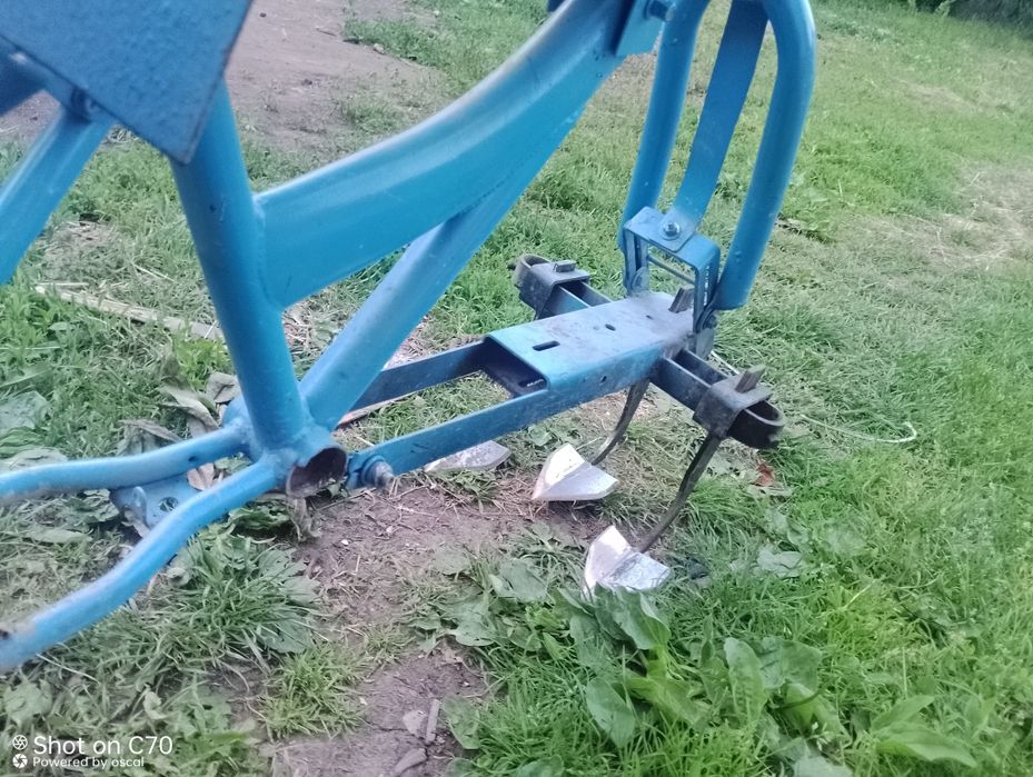 Плужок підгоритат