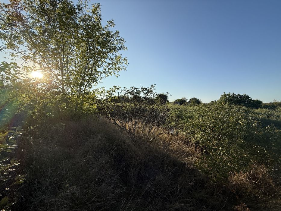 Продам будинок Сурсько-Литовське