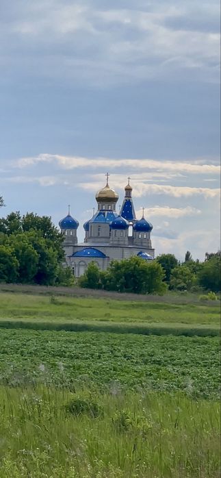 Родюча ділянка від власника: широкий фасад, асфальтований доїзд — Красилівка - View 4