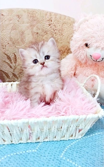 Очаровашка дівчинка чекає на свою сім'ю