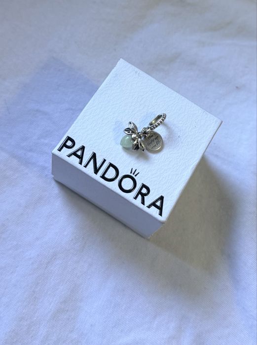 Pandora Momemts charms