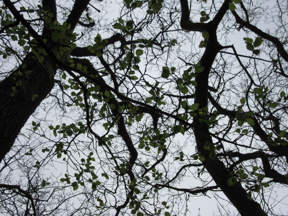 Canon SX600 HS ідеальний стан!