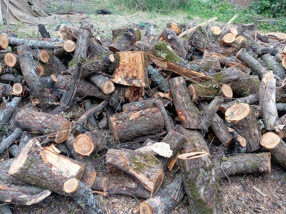 Дрова сухі сосна, осика