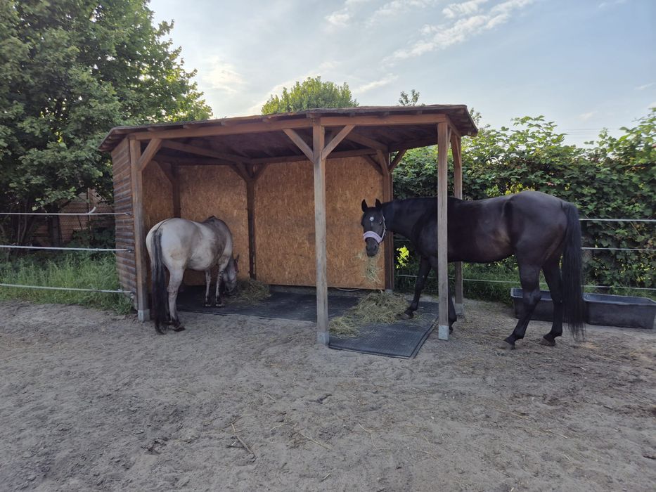 Maty sajenne , droga tymczasowa, płyta eventowa, podłoga przemysłowa