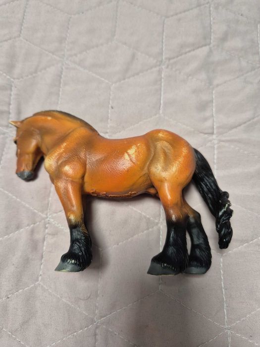 Koń collecta rossmann