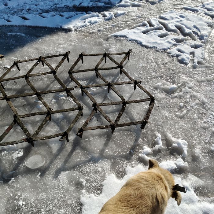 Brony konne 6,5,4,3,2