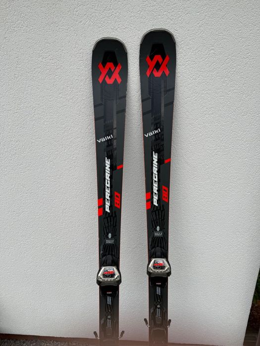 Narty Völkl Peregrine 80 (177 cm) | Model 24/25 | Stan DB | Okazja!