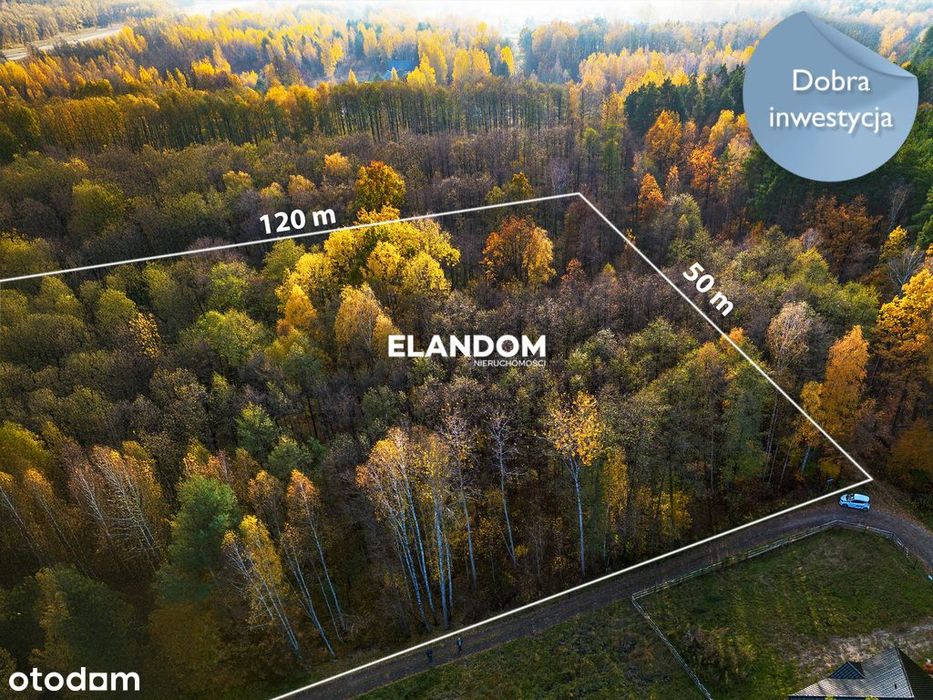 Wyjątkowa duża działka w leśnej okolicy