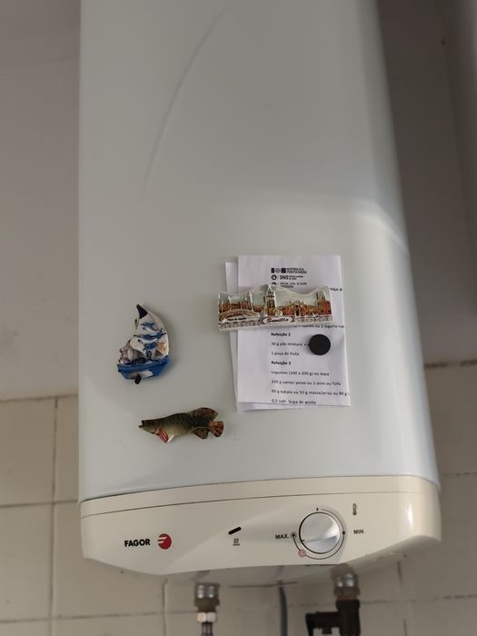 Termo acumulador Fagor 100L