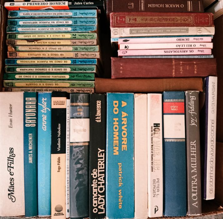 Lote  de  Diversos  LIVROS  Usados ( 3 ) velharias