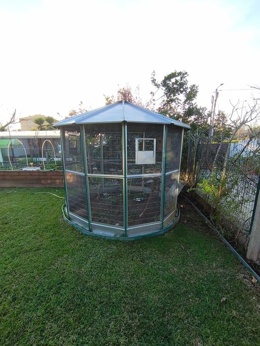 Magnífico Viveiro/Gaiola de Jardim Hexagonal – 2,60m (Como Novo)