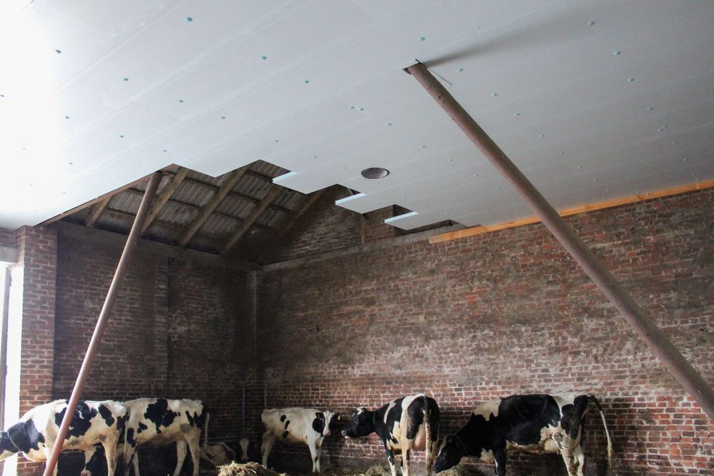 Płyta Rolnicza Styrodur XPS AGRO Ocieplenie Obory Kurnika Tuczarni