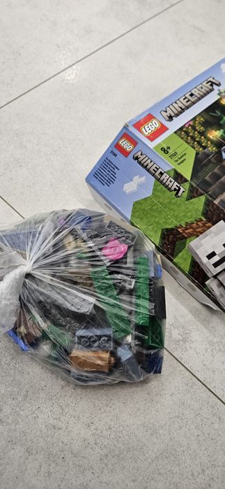 Lego minecraft 21189