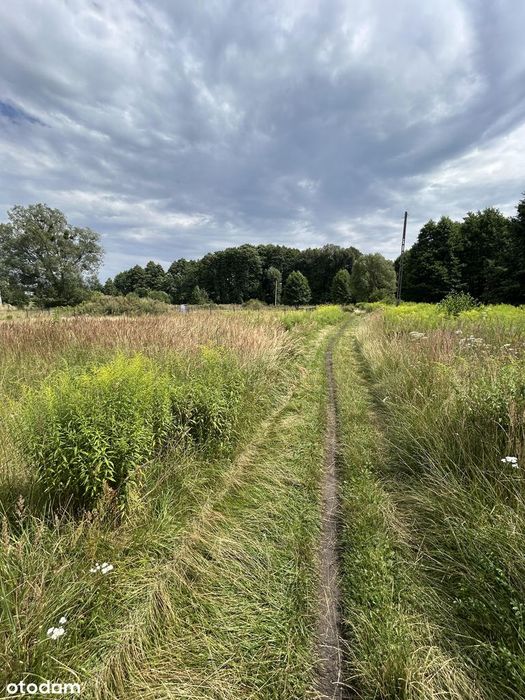 Działka budowlana 1098 m² Kalety Centrum