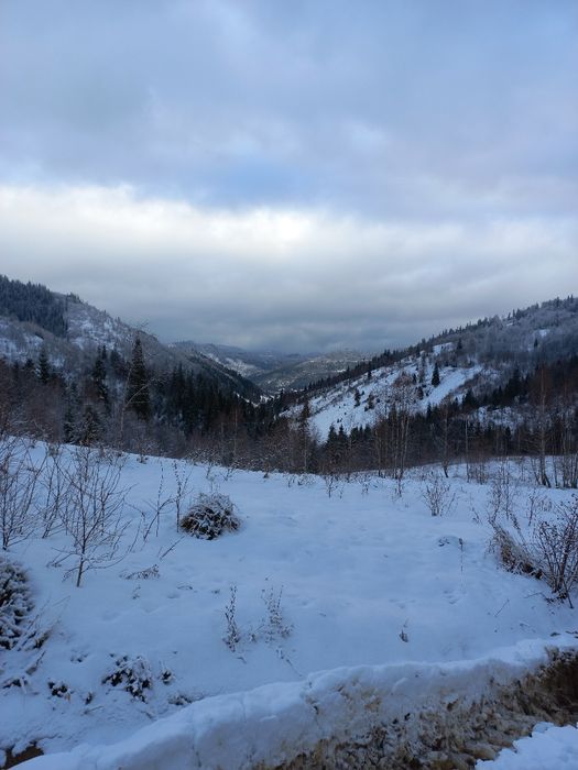 Продається земельна ділянка для ведення садівництва