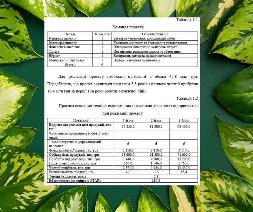 Бізнес-план під кредит 5-7-9%