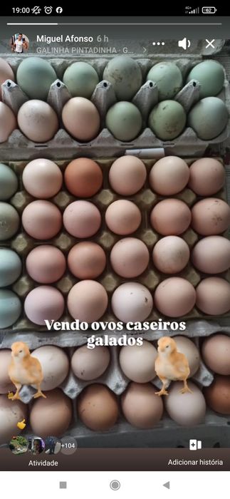 Ovos caseiros galados