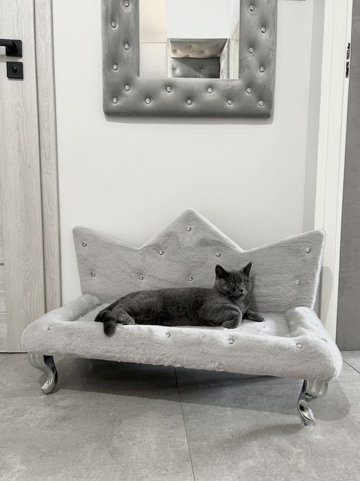 Nowe piękne legowisko /sofa dla kota lub małego psa