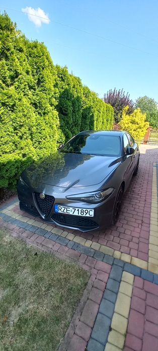 Alfa Romeo Giulia,polski salon