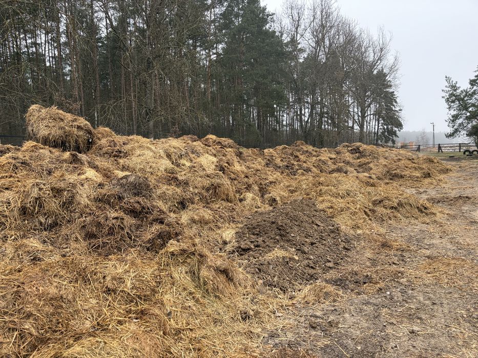 Obornik koński pryzmowany