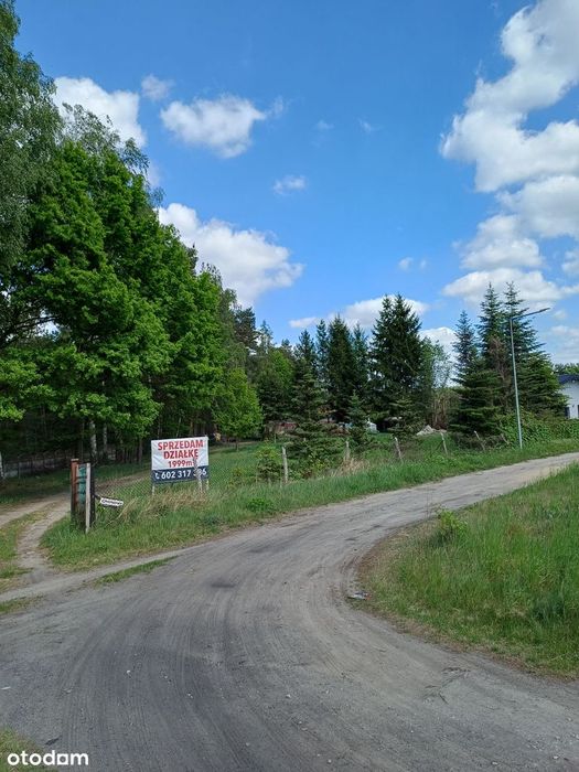 Zdjęcie 8