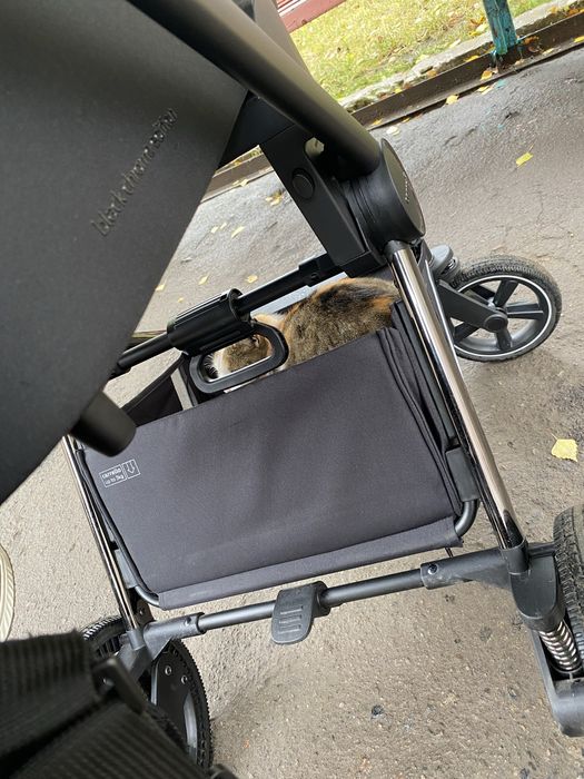 Carello ultimo коляска