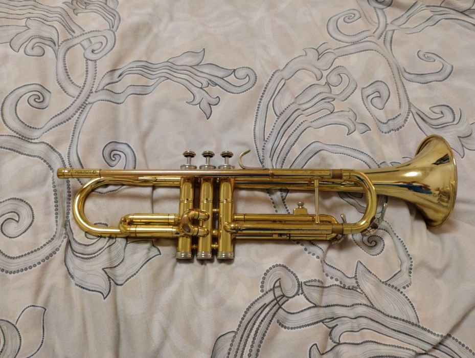 Музикальна труба