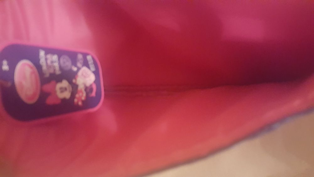 Bolsa da Minnie. Portes incluídos.