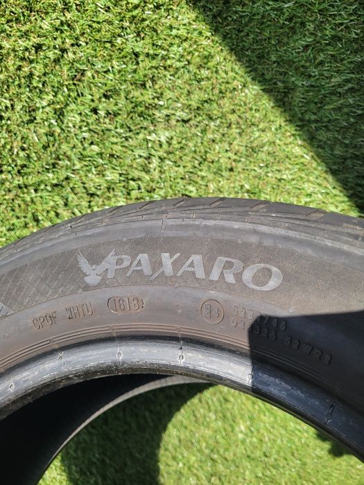 Paxaro Summer Performance 205/55 R16