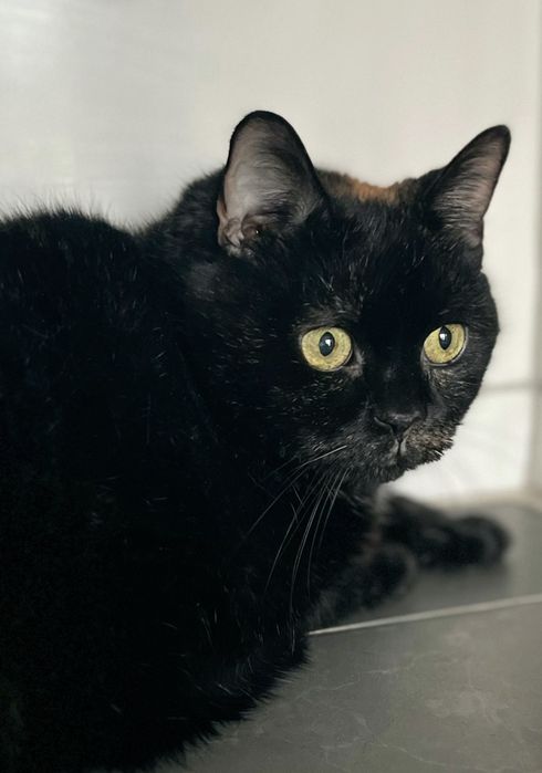 To Merry ...błagam o szansę dla niej ...