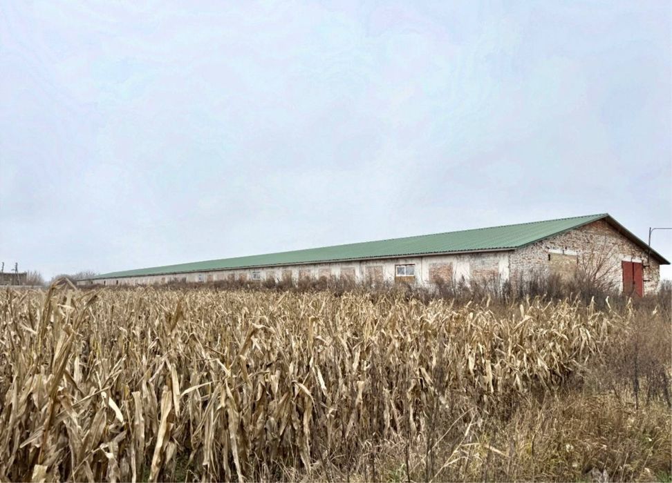 Продам 22 Га з майновим комплексом! С. Салівонки